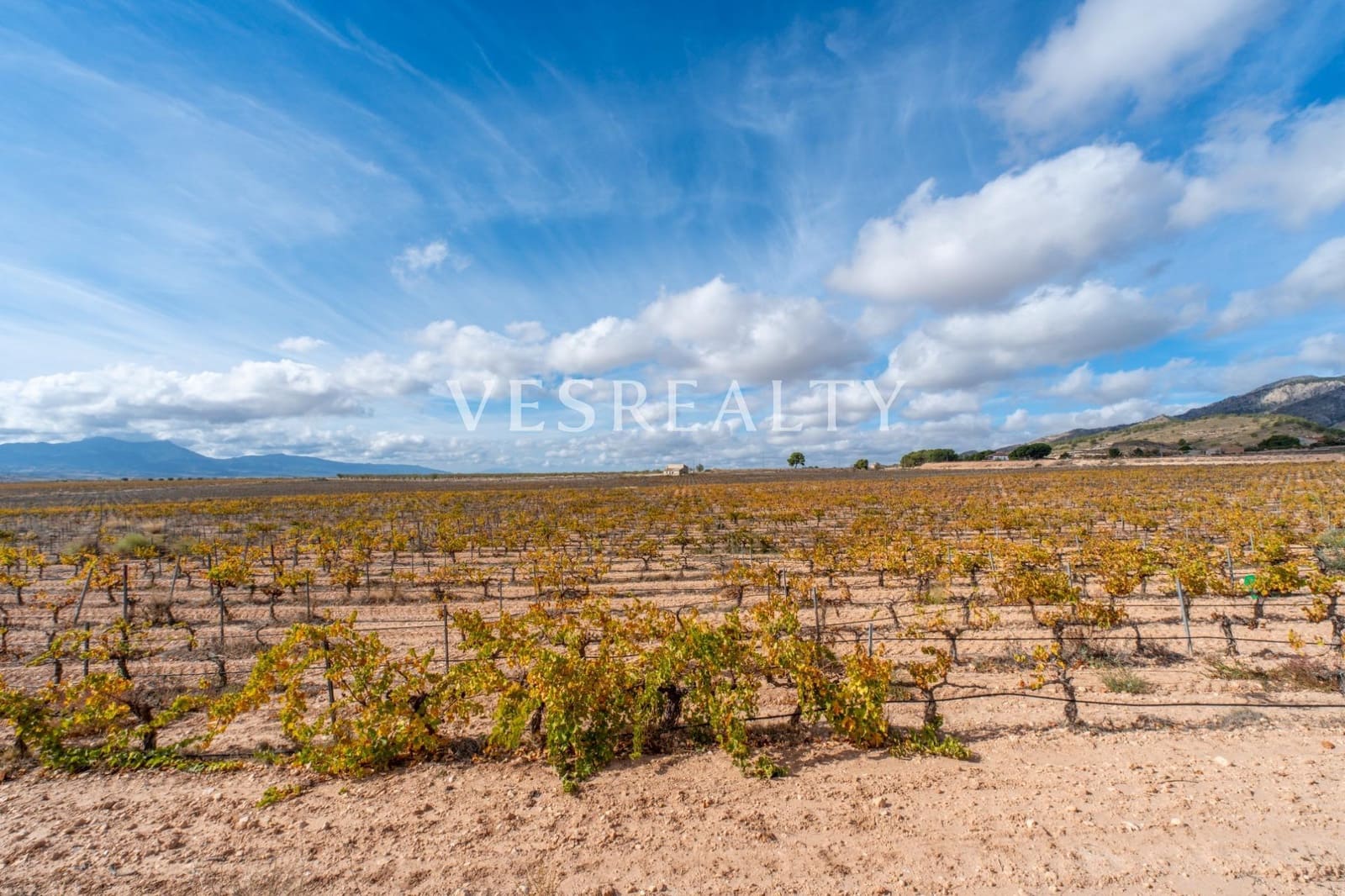 Finca/Casa Rural en Jumilla en venta - 4.950.000 € (Ref: 9382761)