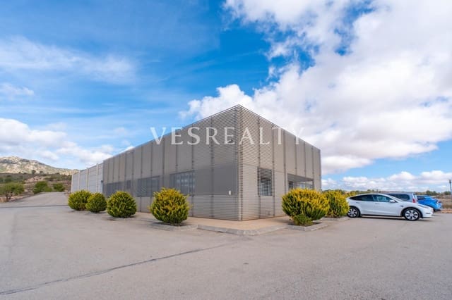 Finca/Herregård til salgs i Jumilla - € 4 950 000 (Ref: 9382761)