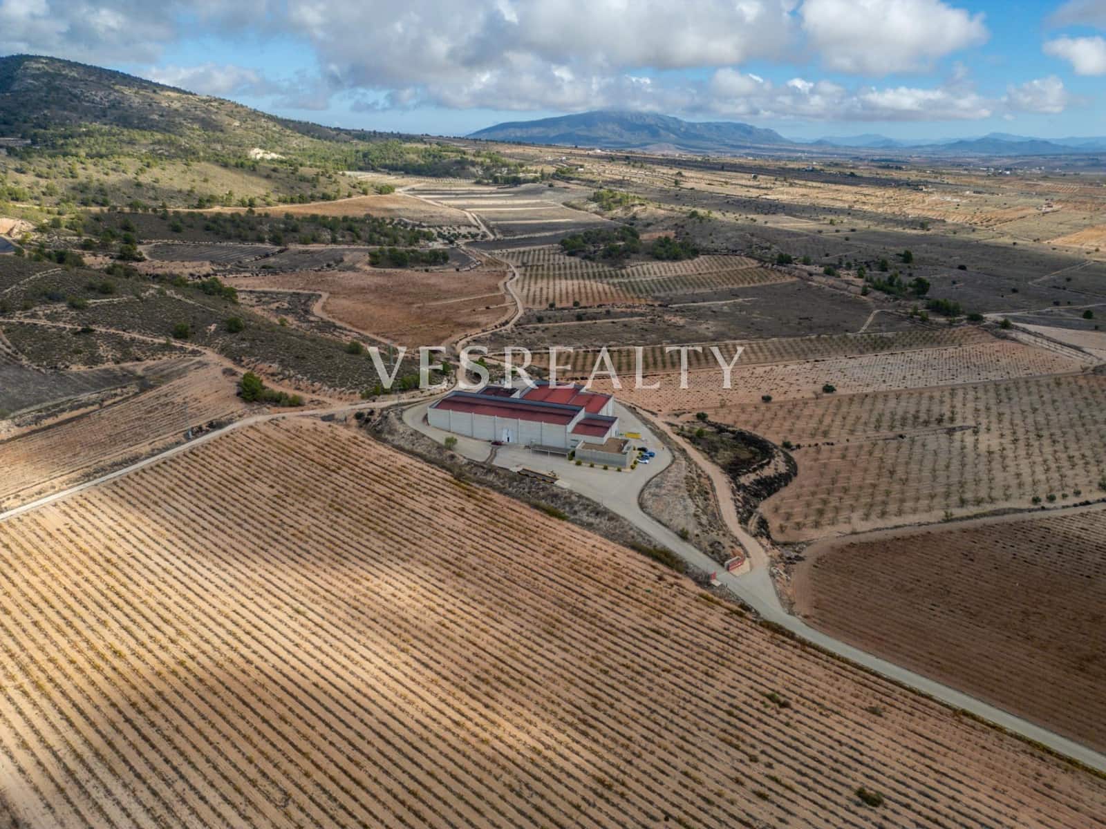Finca/Casa Rural en Jumilla en venta - 4.950.000 € (Ref: 9382761)