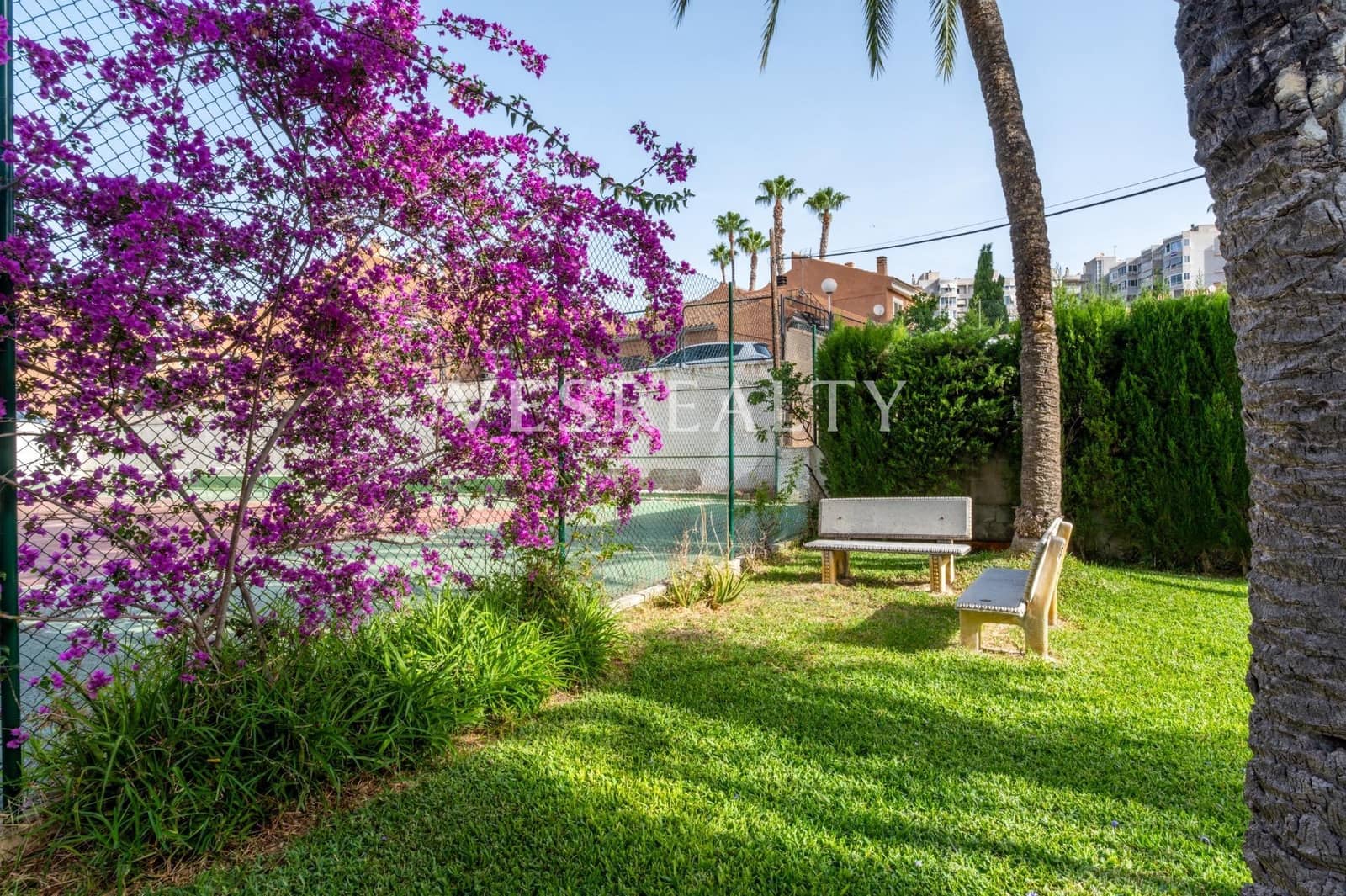 3 chambre Appartement à vendre à Playa de San Juan avec piscine - 418 000 € (Ref: 9922539)