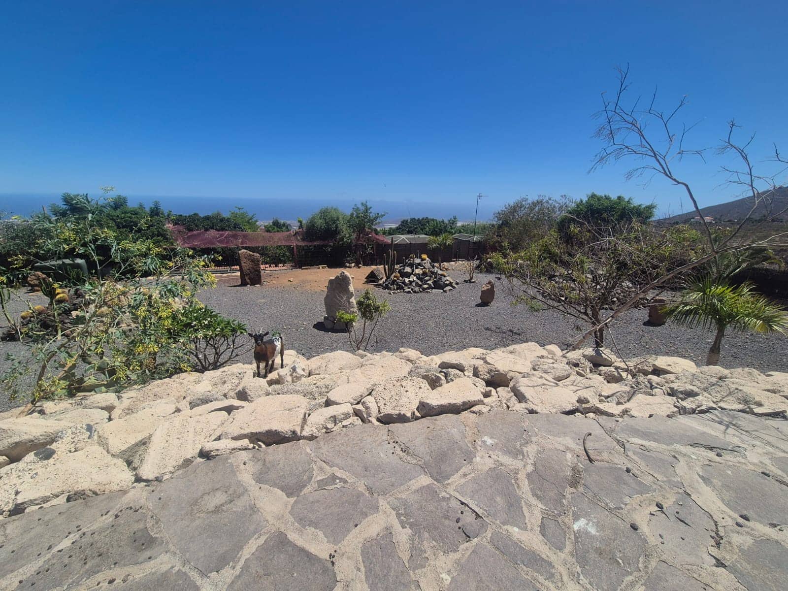 5 camera da letto Finca/Casa di Campagna in vendita in San Miguel de Abona con piscina garage - 3.700.000 € (Rif: 10031299)
