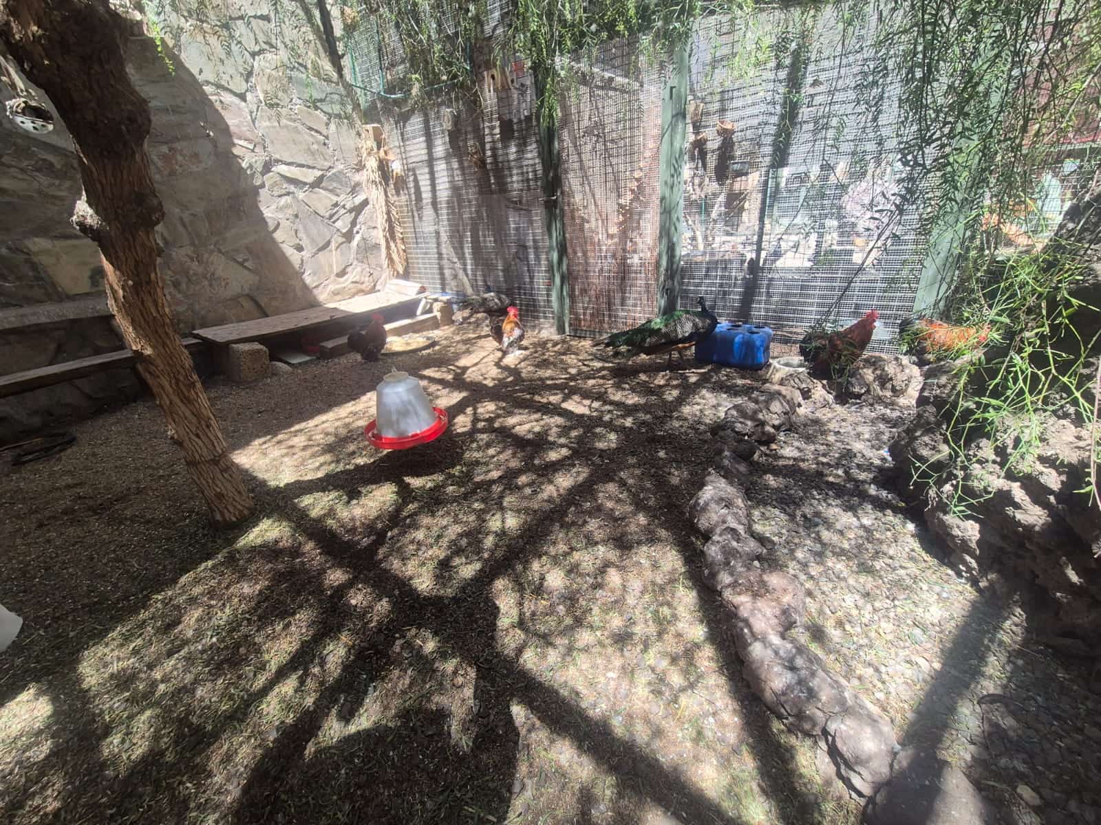 5 camera da letto Finca/Casa di Campagna in vendita in San Miguel de Abona con piscina garage - 3.700.000 € (Rif: 10031299)
