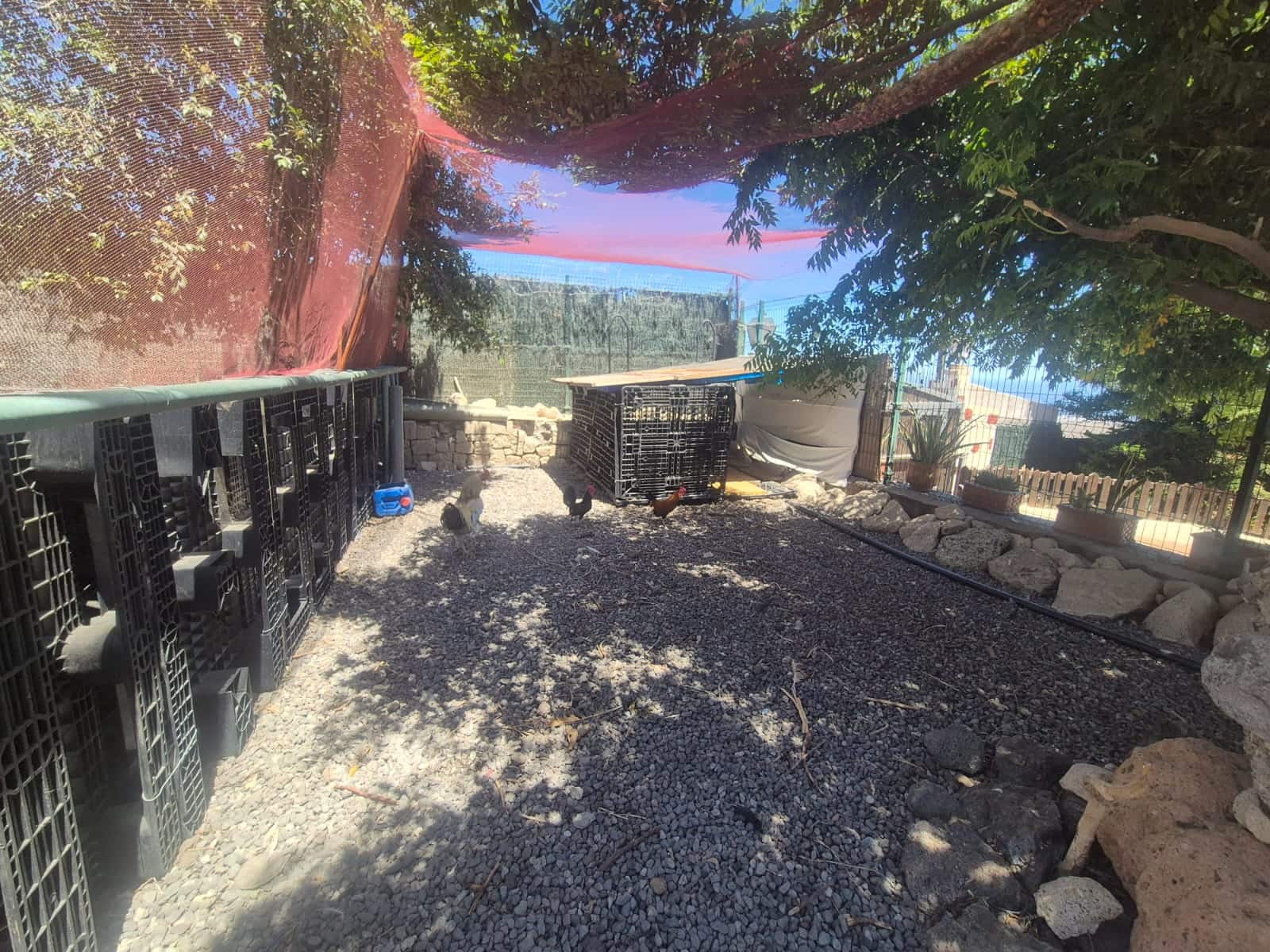 5 camera da letto Finca/Casa di Campagna in vendita in San Miguel de Abona con piscina garage - 3.700.000 € (Rif: 10031299)