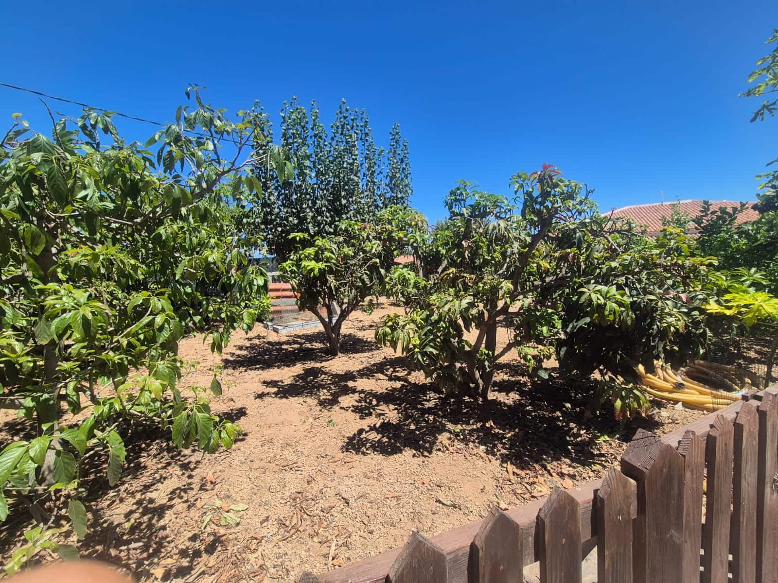 5 camera da letto Finca/Casa di Campagna in vendita in San Miguel de Abona con piscina garage - 3.700.000 € (Rif: 10031299)