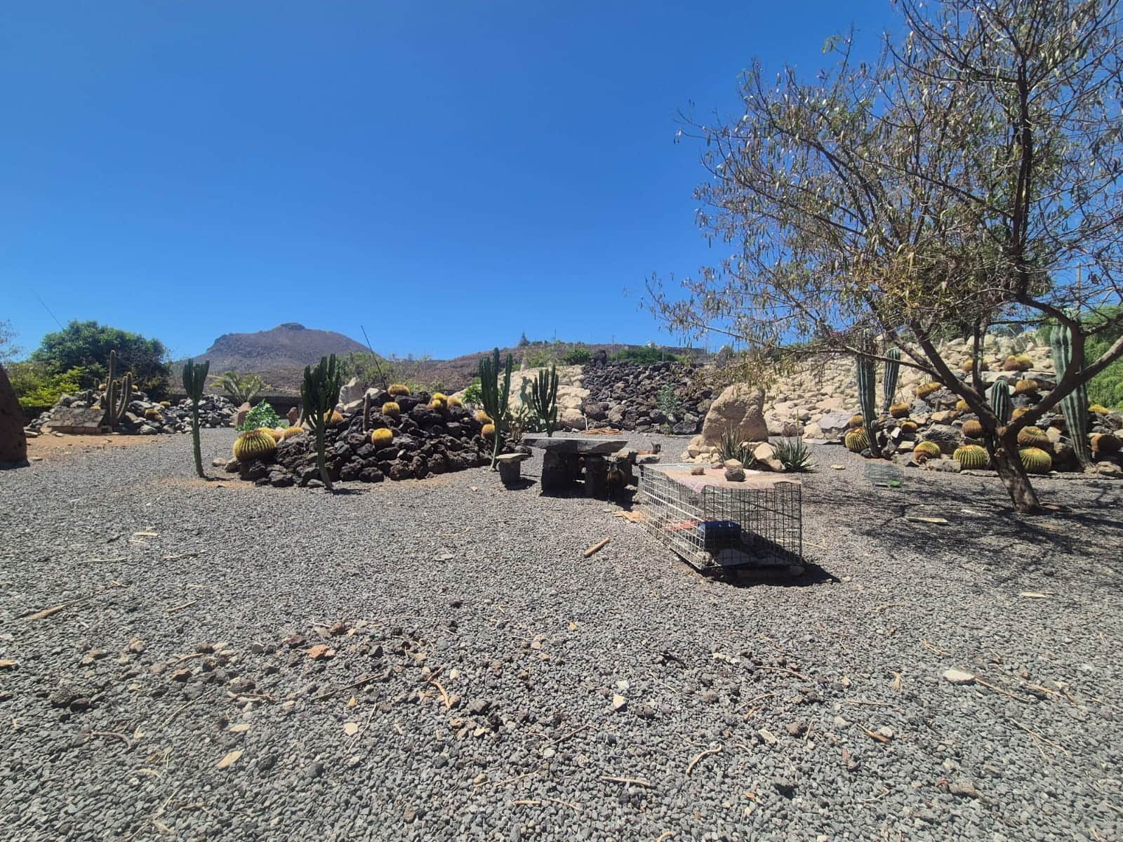 5 camera da letto Finca/Casa di Campagna in vendita in San Miguel de Abona con piscina garage - 3.700.000 € (Rif: 10031299)