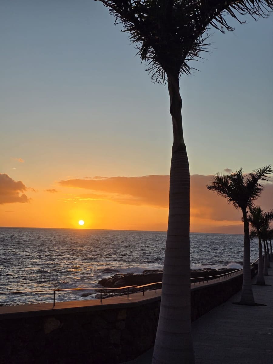 2 slaapkamer Appartement te koop in Playa Paraiso met zwembad - € 285.000 (Ref: 10039224)