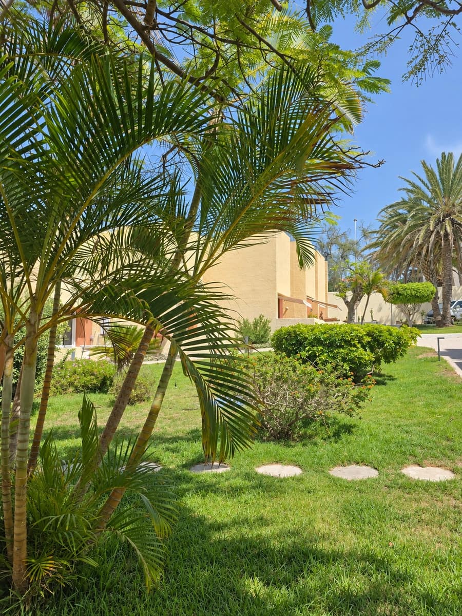 1 bedroom Bungalow for sale in Costa Adeje with pool garage - € 320,000 (Ref: 10116196)