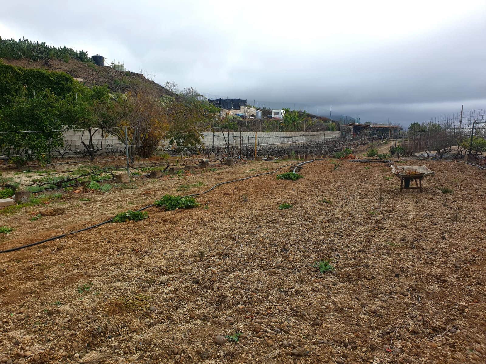 Finca/Maison de Campagne à vendre à Guia de Isora avec garage - 218 000 € (Ref: 8945545)