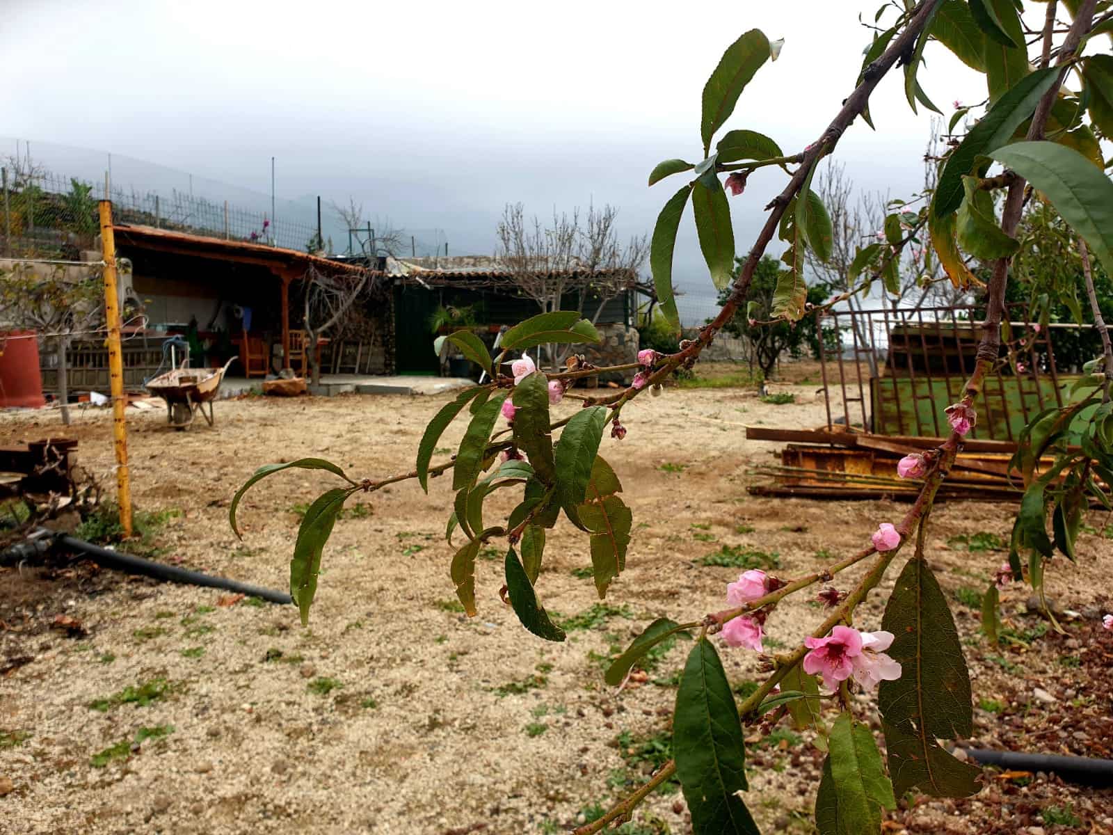 Finca/Maison de Campagne à vendre à Guia de Isora avec garage - 218 000 € (Ref: 8945545)