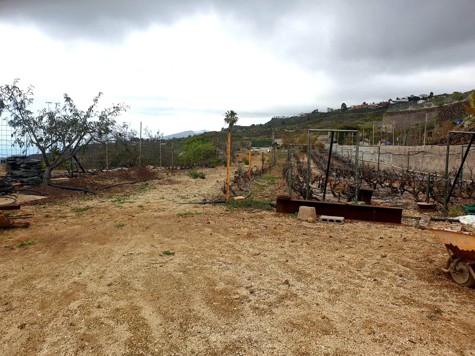 Finca/Maison de Campagne à vendre à Guia de Isora avec garage - 218 000 € (Ref: 8945545)