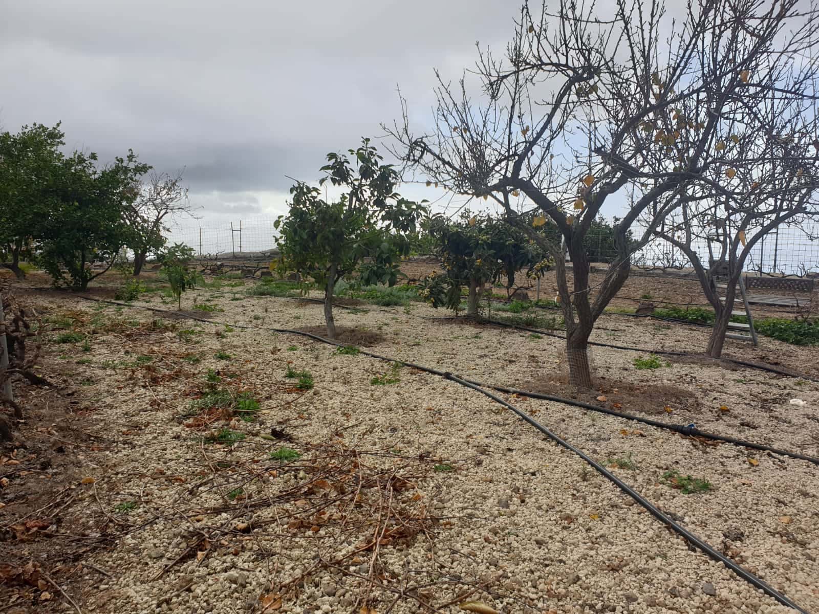 Finca/Maison de Campagne à vendre à Guia de Isora avec garage - 218 000 € (Ref: 8945545)