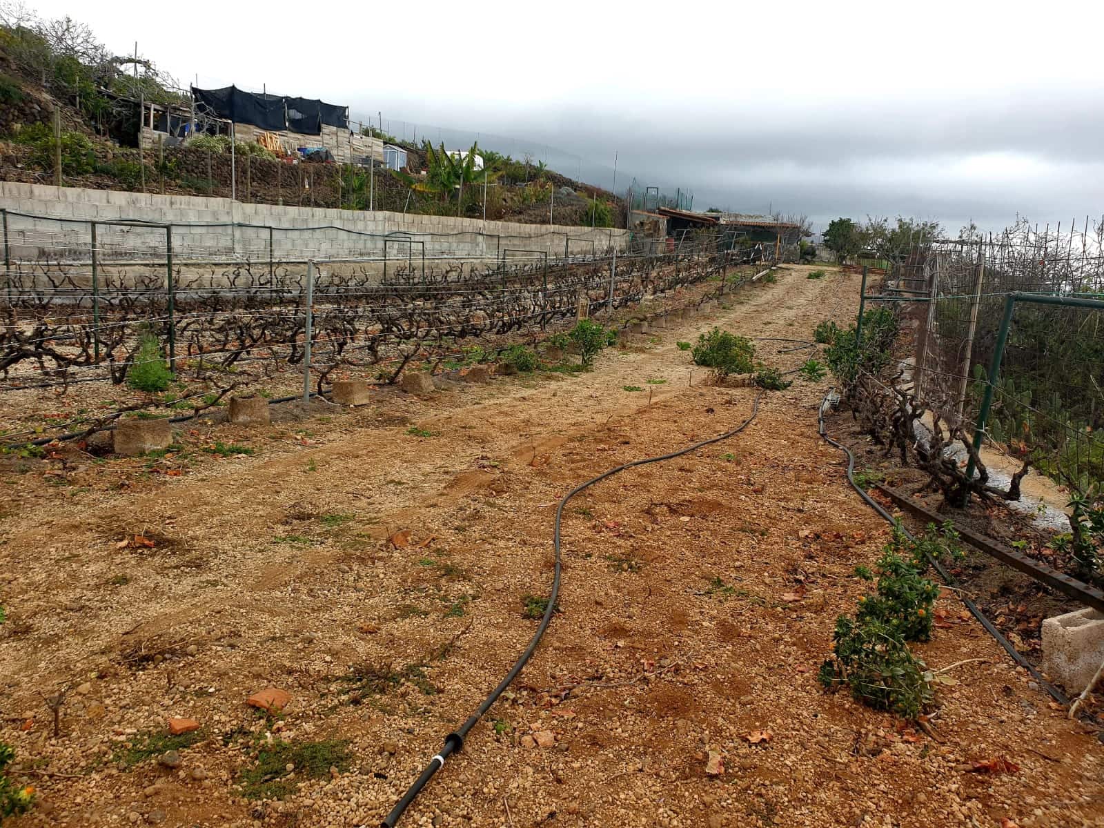 Finca/Maison de Campagne à vendre à Guia de Isora avec garage - 218 000 € (Ref: 8945545)