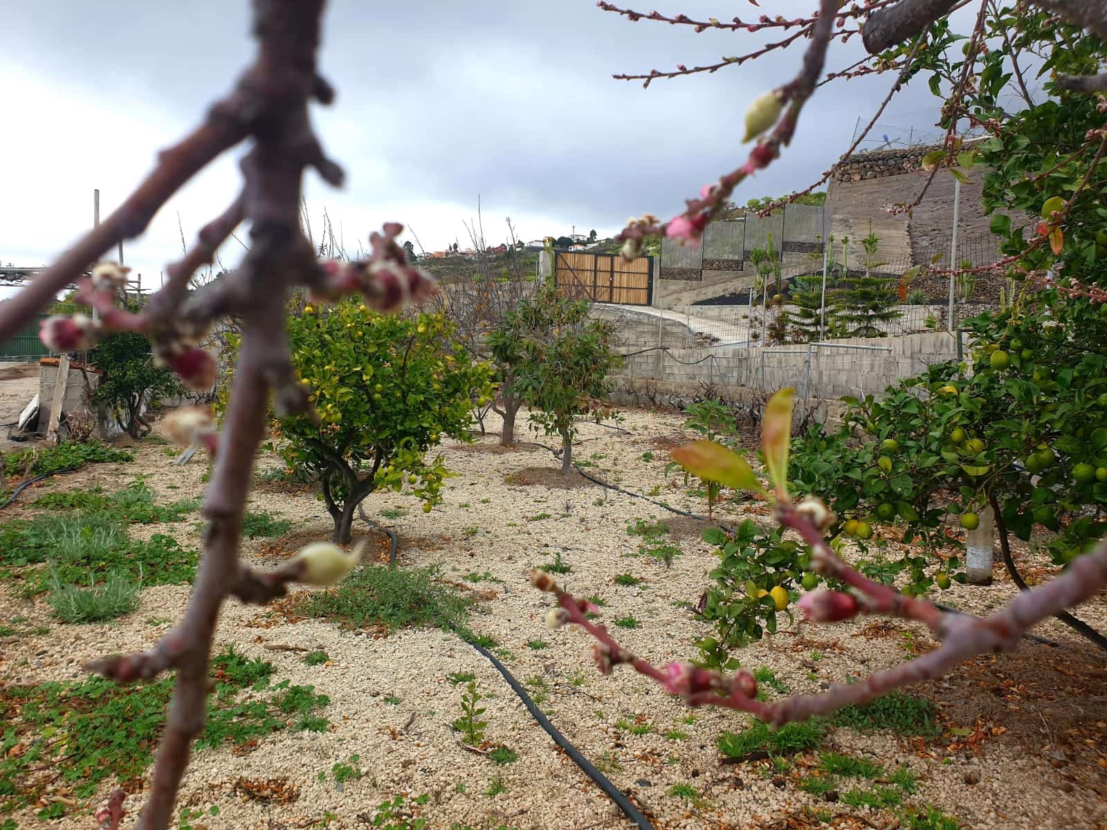 Finca/Maison de Campagne à vendre à Guia de Isora avec garage - 218 000 € (Ref: 8945545)