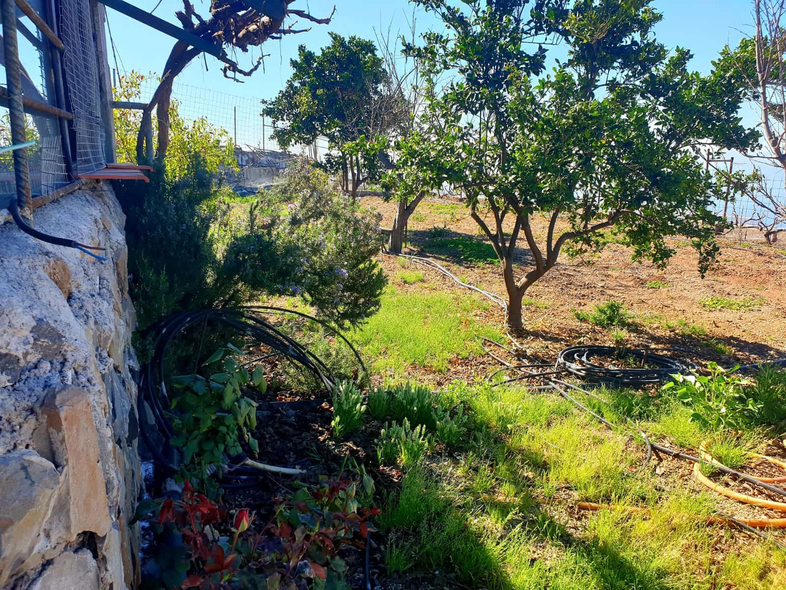 Finca/Maison de Campagne à vendre à Guia de Isora avec garage - 218 000 € (Ref: 8945545)