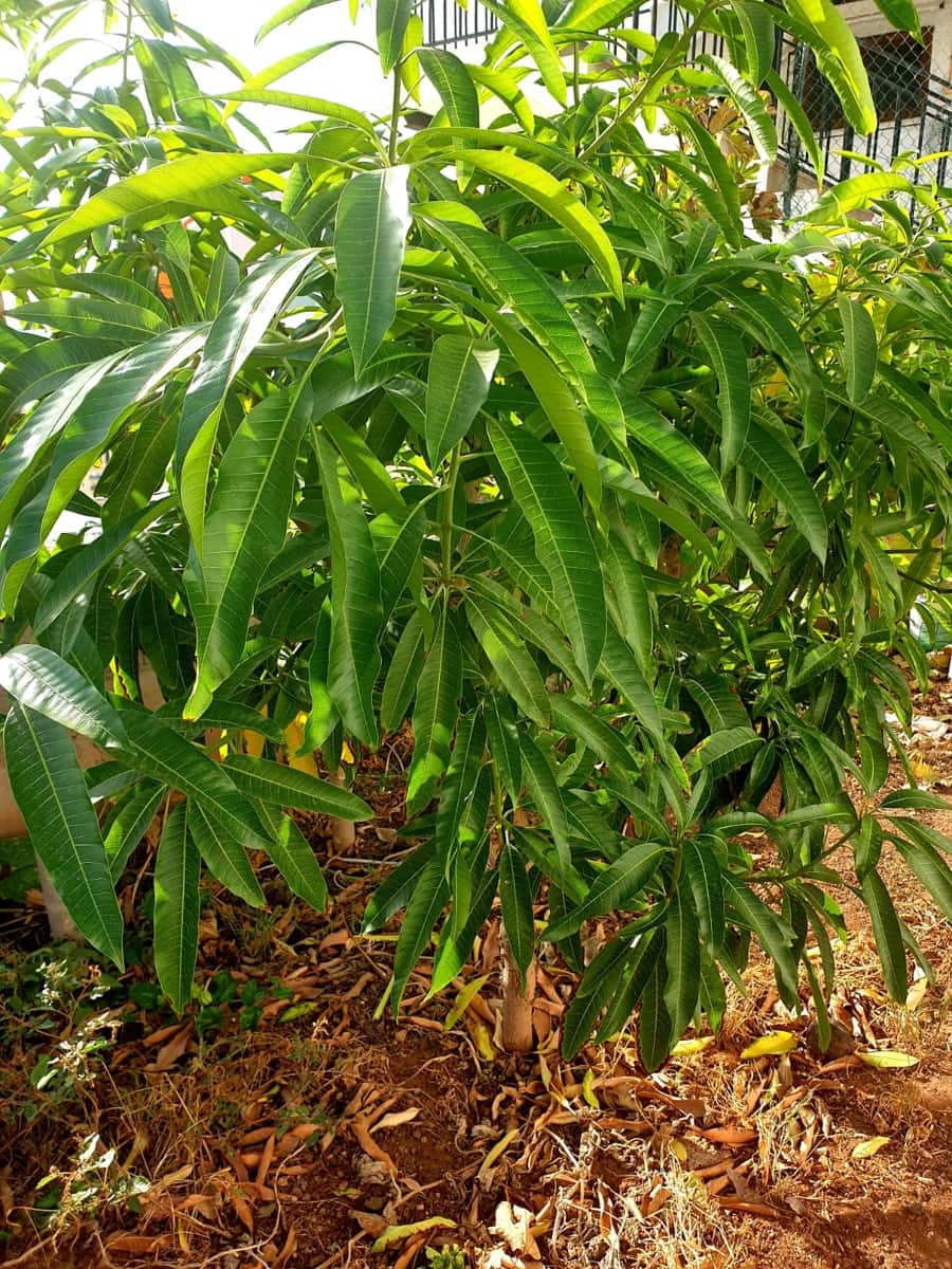 3 soveværelse Lejlighed til salg i Los Cristianos med swimmingpool garage - € 549.000 (Ref: 8952380)