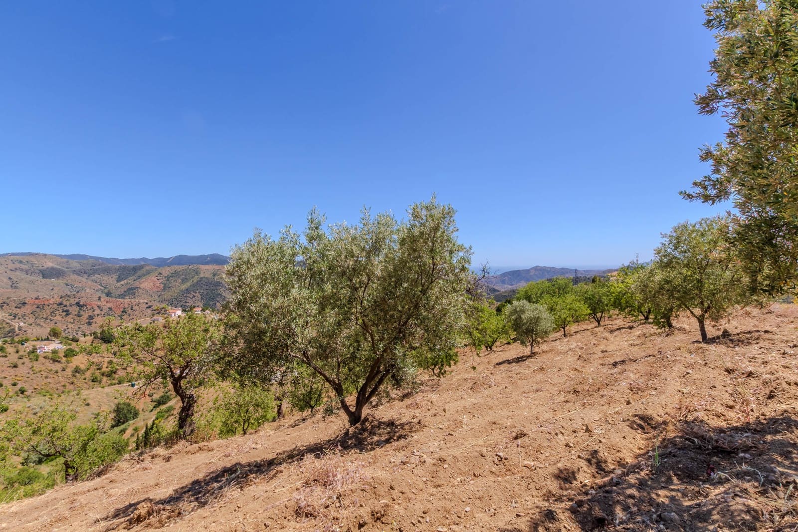 16 soveværelse Finca/Landehus til salg i Casabermeja med swimmingpool garage - € 1.100.000 (Ref: 9028334)