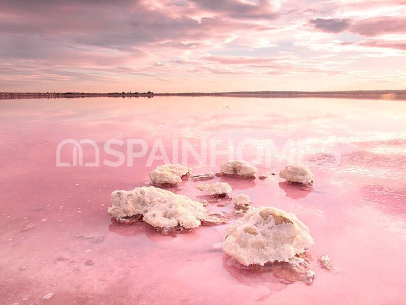 1 chambre Appartement à vendre à Torrevieja avec piscine - 229 000 € (Ref: 8964508)