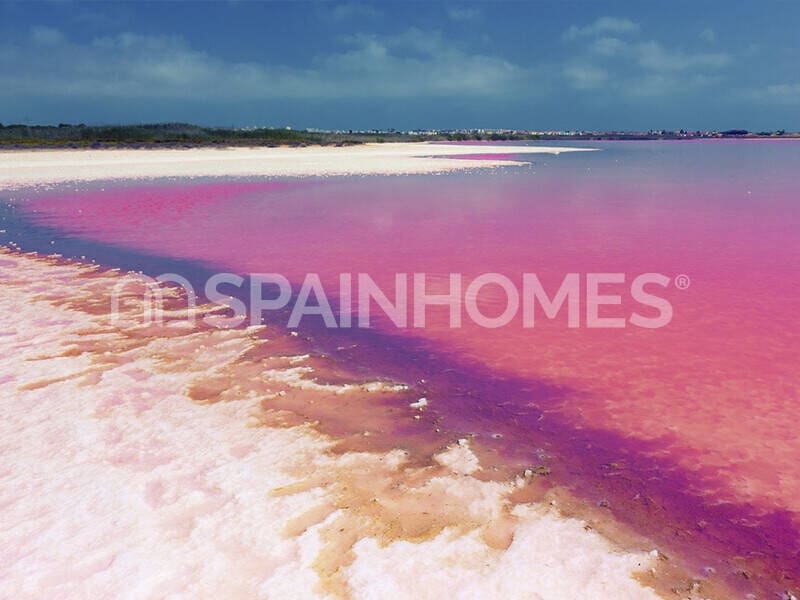 1 chambre Appartement à vendre à Torrevieja avec piscine - 229 000 € (Ref: 8964508)