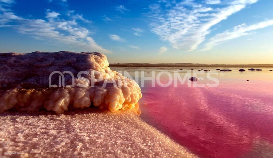 2 bedroom Flat for sale in Torrevieja with pool - € 339,000 (Ref: 8964528)