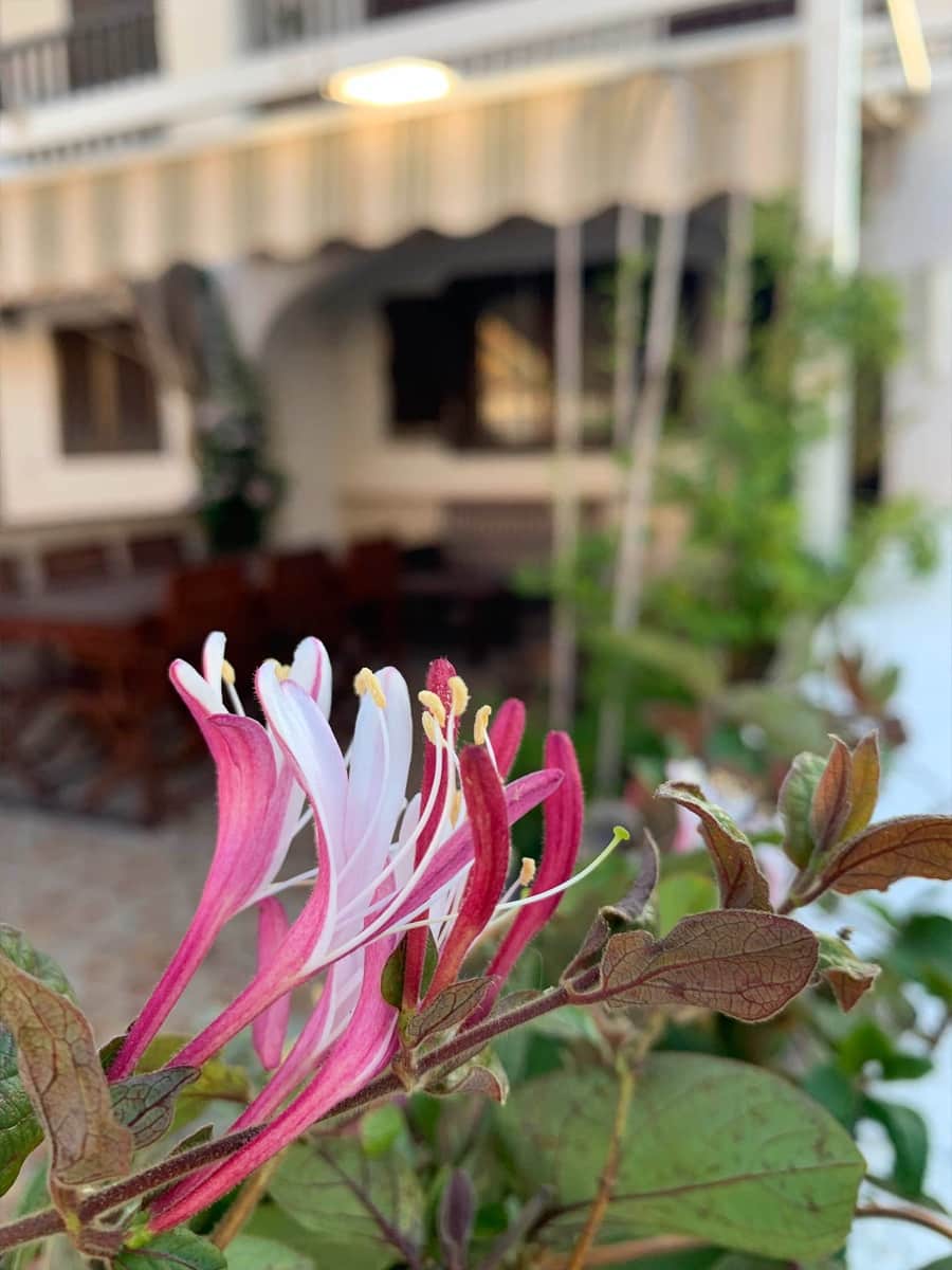 4 camera da letto Bungalow in vendita in Santa Pola con piscina garage - 339.000 € (Rif: 9371808)