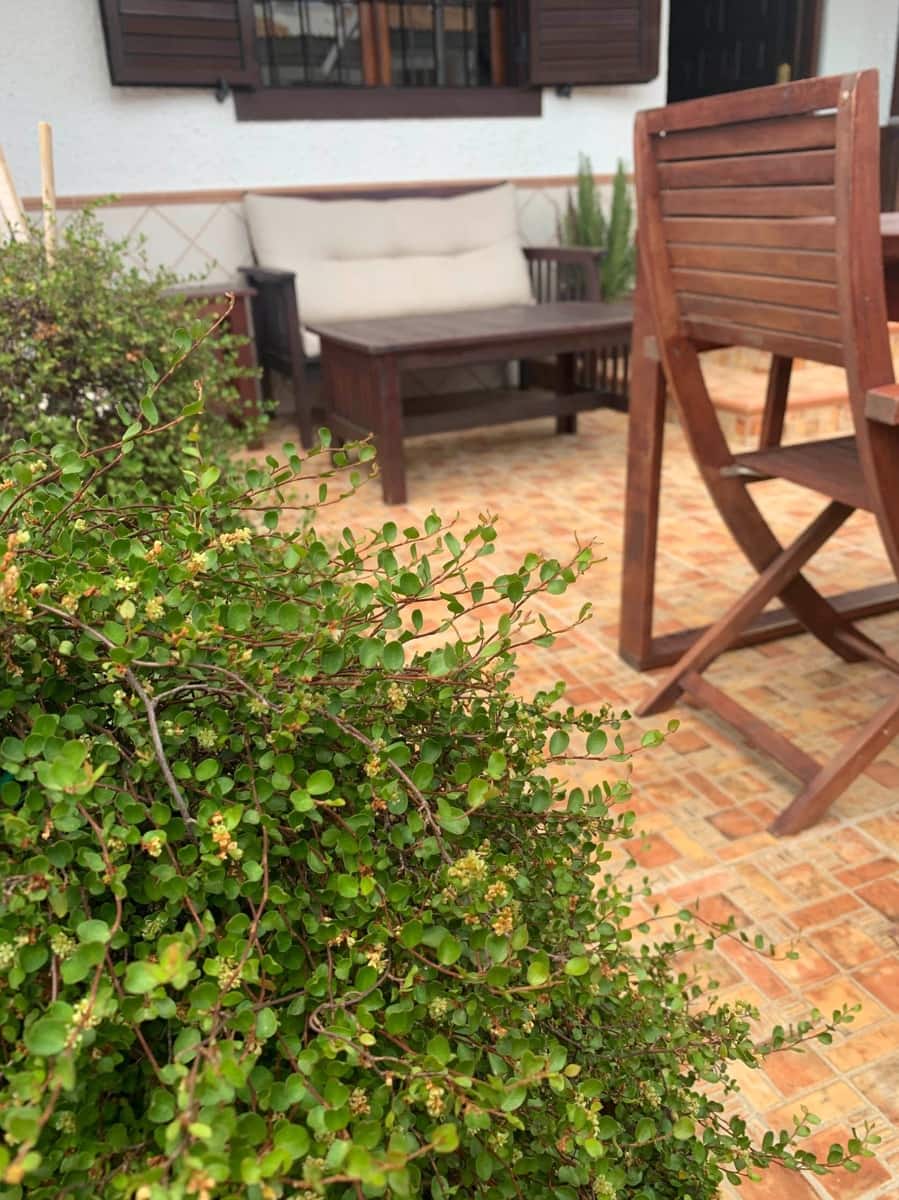 4 camera da letto Bungalow in vendita in Santa Pola con piscina garage - 339.000 € (Rif: 9371808)