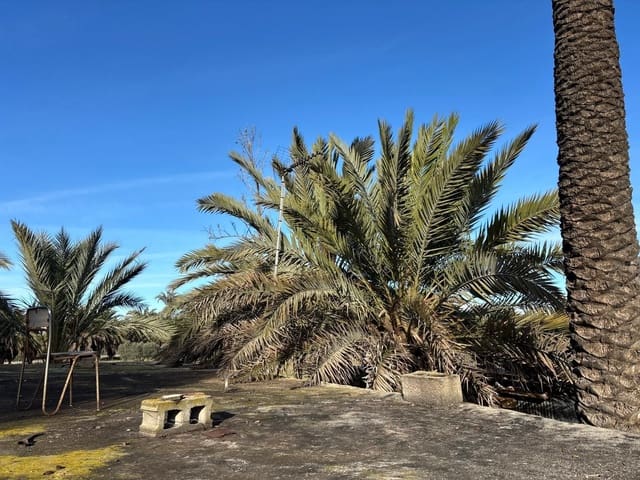 Finca/Casa di Campagna in vendita in Elche / Elx - 136.000 € (Rif: 9555234)