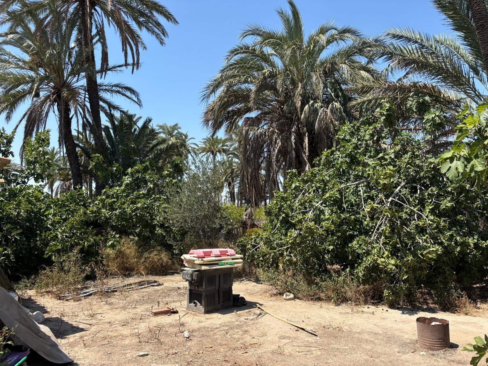 Finca/Landhuis te koop in Elche / Elx - € 136.000 (Ref: 9555234)