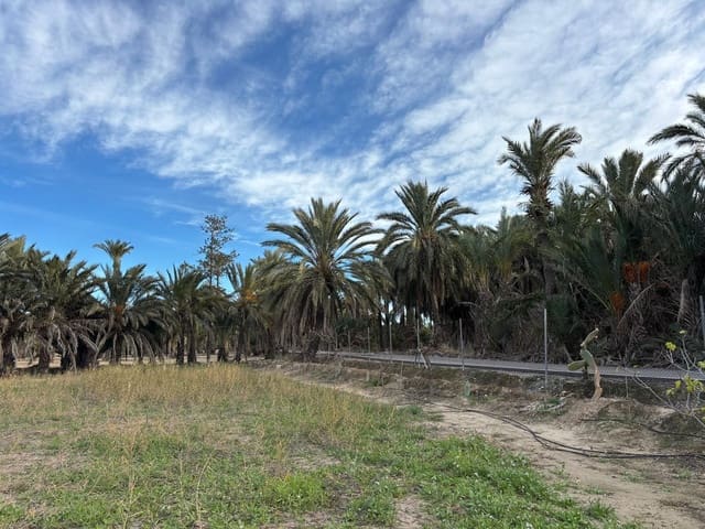 1 bedroom Finca/Country House for sale in La Algoda - Matola - El Pla, Elche / Elx - € 150,000 (Ref: 9555235)