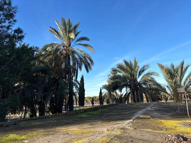 1 bedroom Finca/Country House for sale in La Algoda - Matola - El Pla, Elche / Elx - € 150,000 (Ref: 9555235)