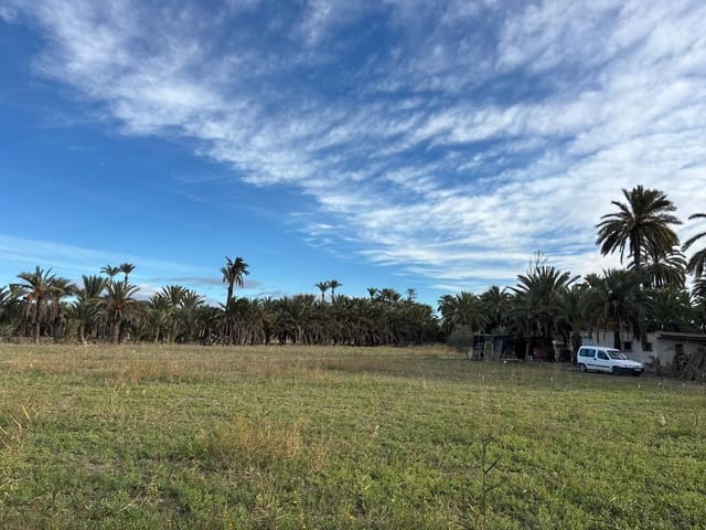 1 bedroom Finca/Country House for sale in La Algoda - Matola - El Pla, Elche / Elx - € 150,000 (Ref: 9555235)