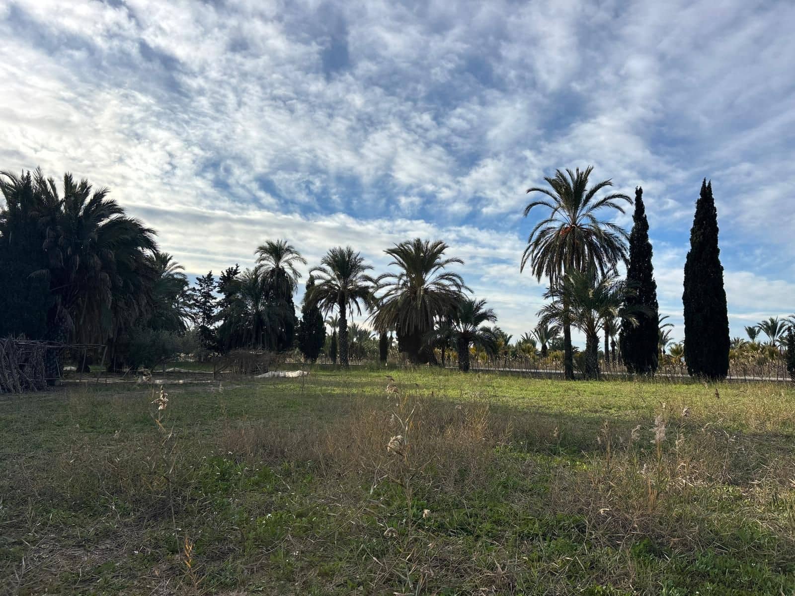 1 slaapkamer Finca/Landhuis te koop in Elche / Elx - € 126.000 (Ref: 9555235)