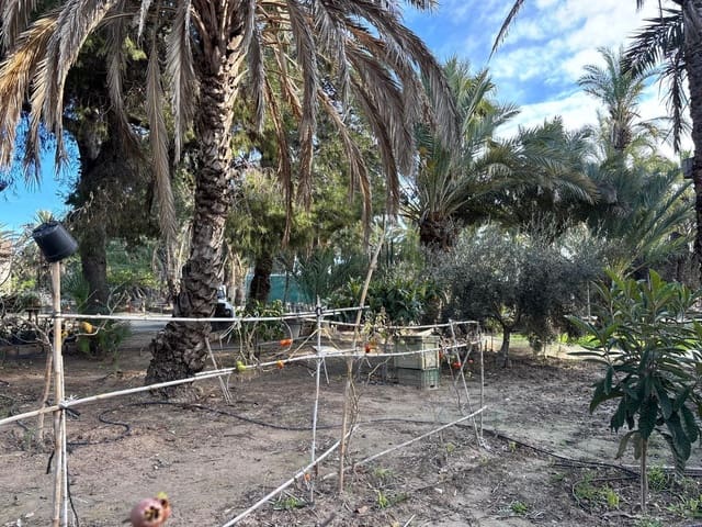 1 bedroom Finca/Country House for sale in La Algoda - Matola - El Pla, Elche / Elx - € 150,000 (Ref: 9555235)