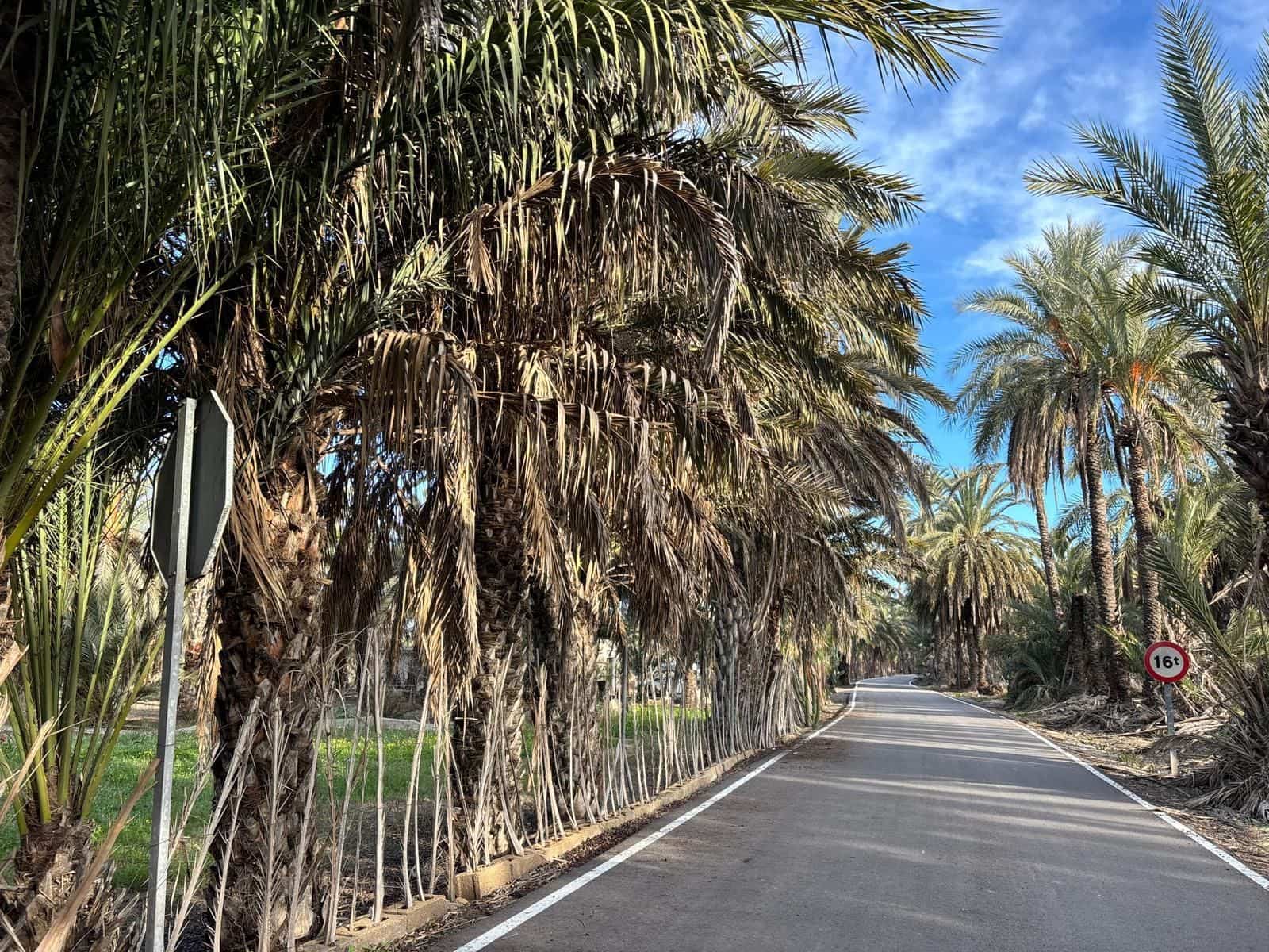 1 slaapkamer Finca/Landhuis te koop in Elche / Elx - € 126.000 (Ref: 9555235)