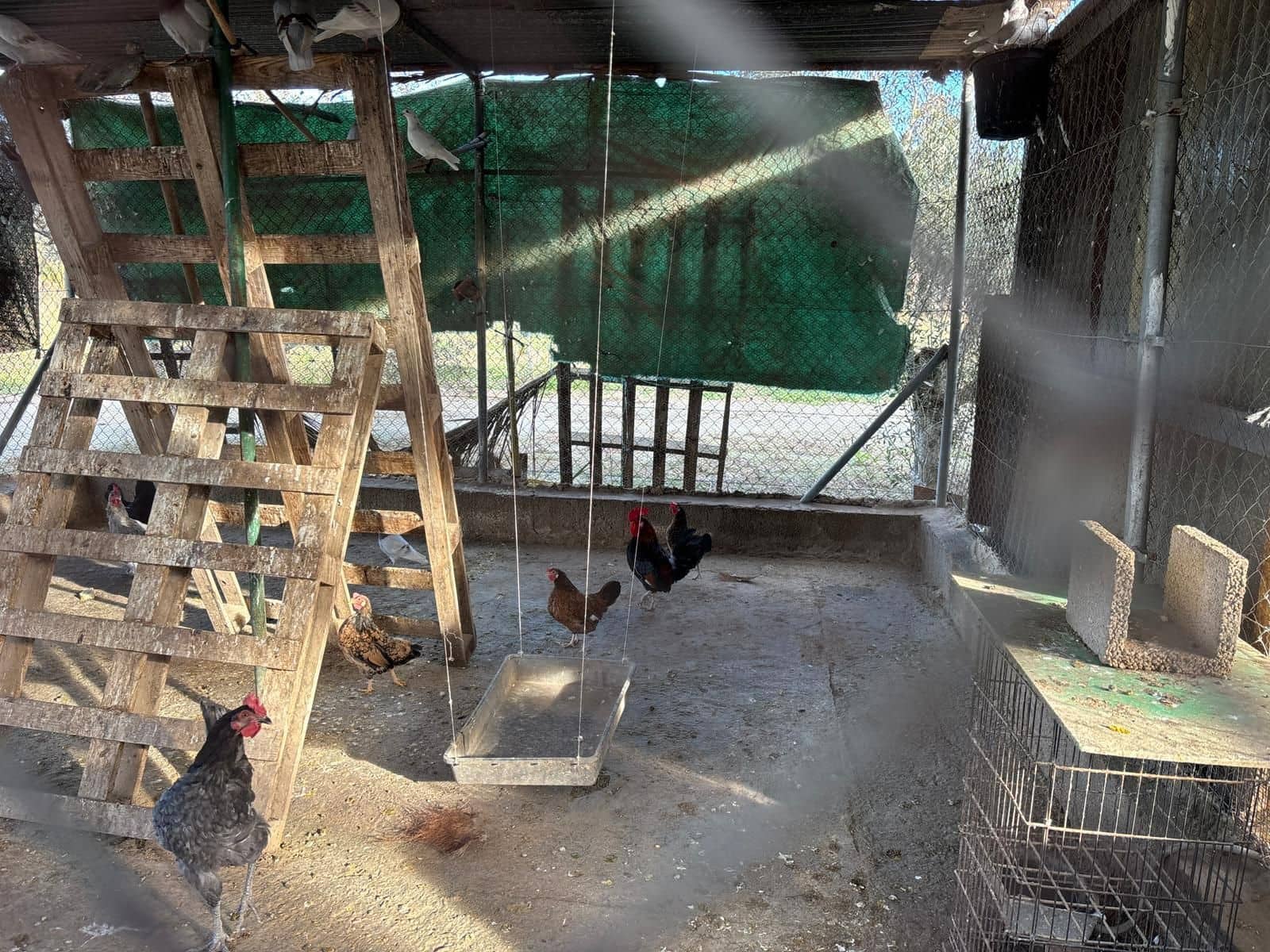 1 slaapkamer Finca/Landhuis te koop in Elche / Elx - € 126.000 (Ref: 9555235)