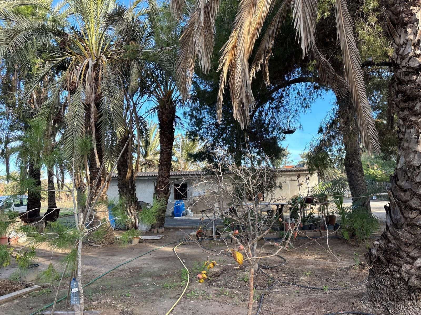 1 slaapkamer Finca/Landhuis te koop in Elche / Elx - € 126.000 (Ref: 9555235)