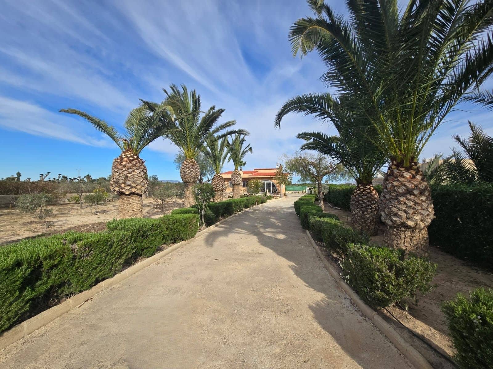 4 chambre Villa/Maison à vendre à Elche / Elx avec piscine garage - 310 000 € (Ref: 9673883)