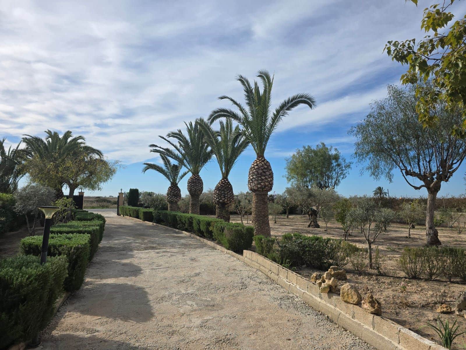 4 chambre Villa/Maison à vendre à Elche / Elx avec piscine garage - 310 000 € (Ref: 9673883)