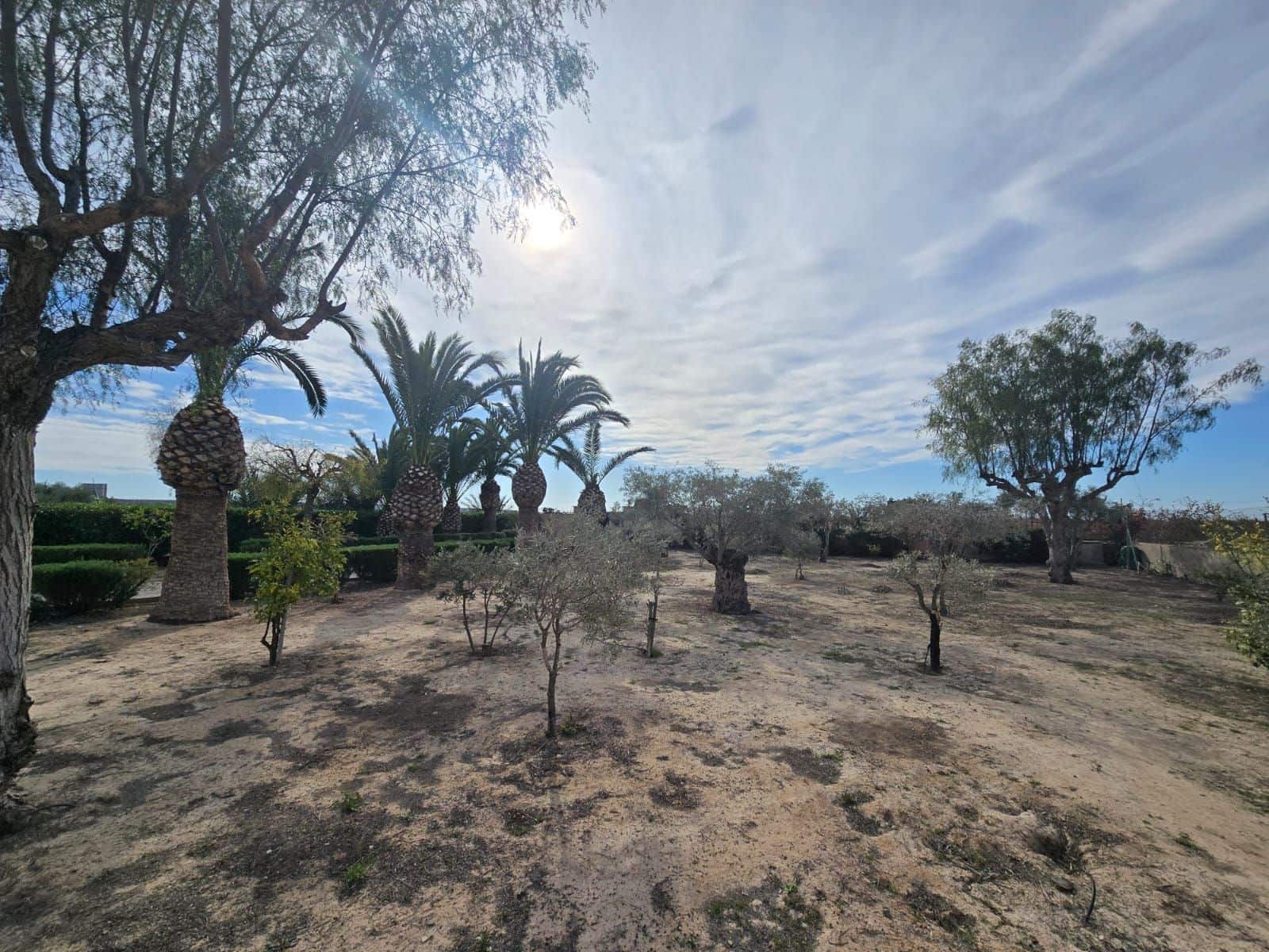 4 chambre Villa/Maison à vendre à Elche / Elx avec piscine garage - 310 000 € (Ref: 9673883)