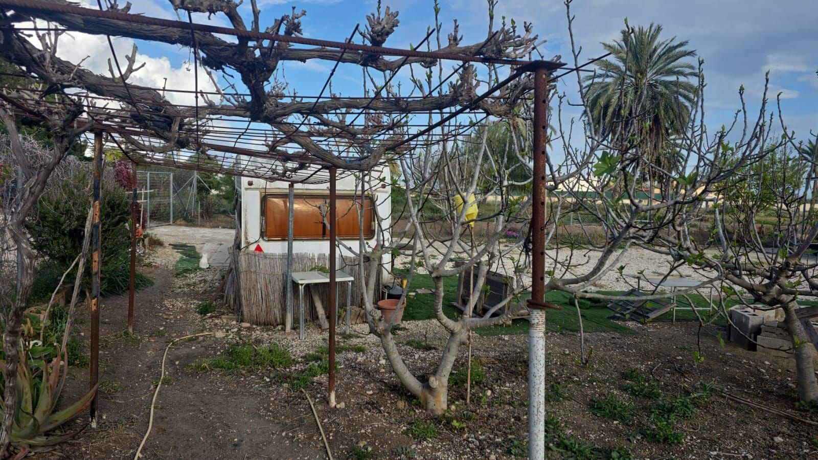 Finca/Country House for sale in Elche / Elx - € 65,000 (Ref: 9694856)