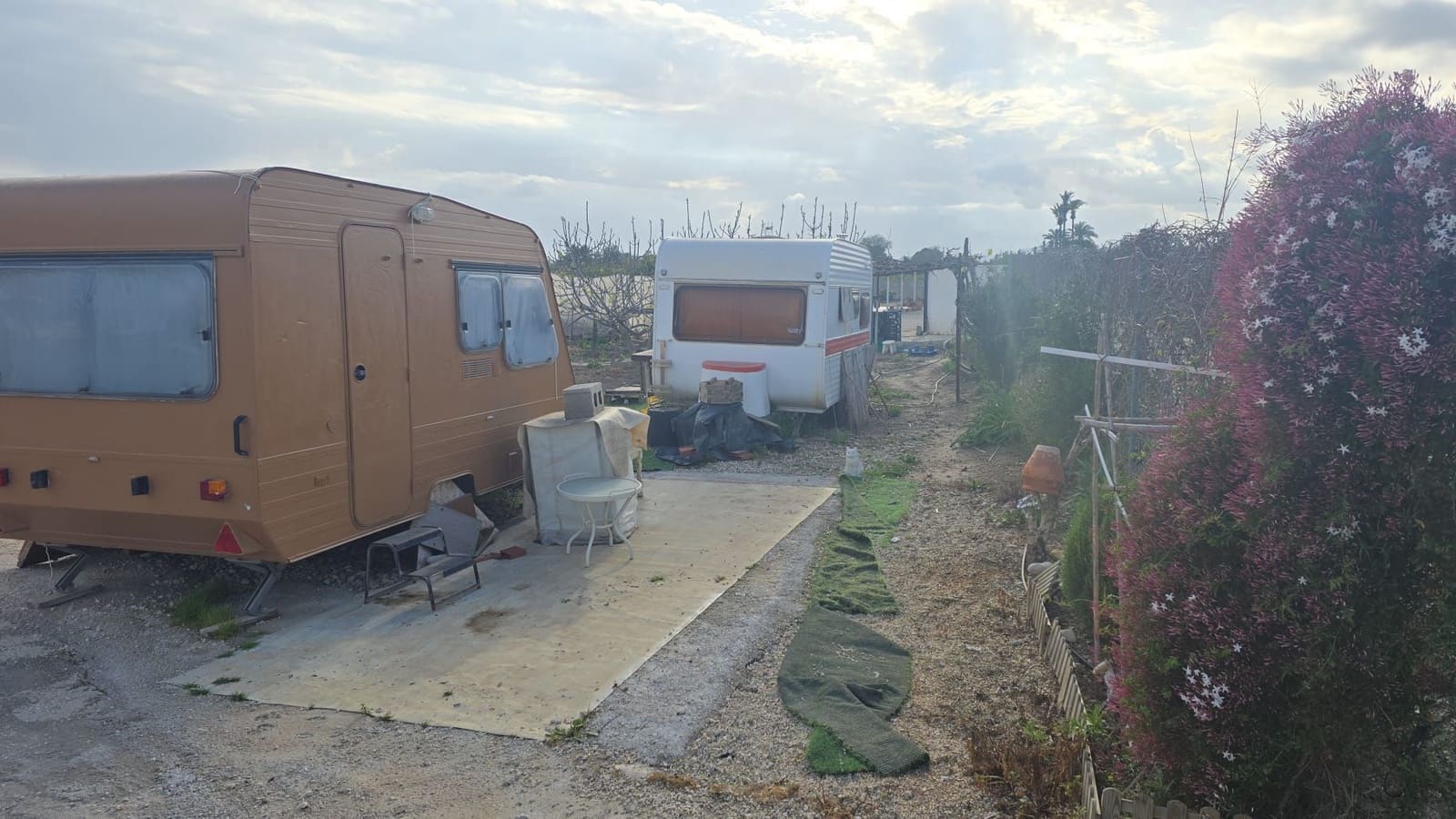 Finca/Country House for sale in Elche / Elx - € 65,000 (Ref: 9694856)