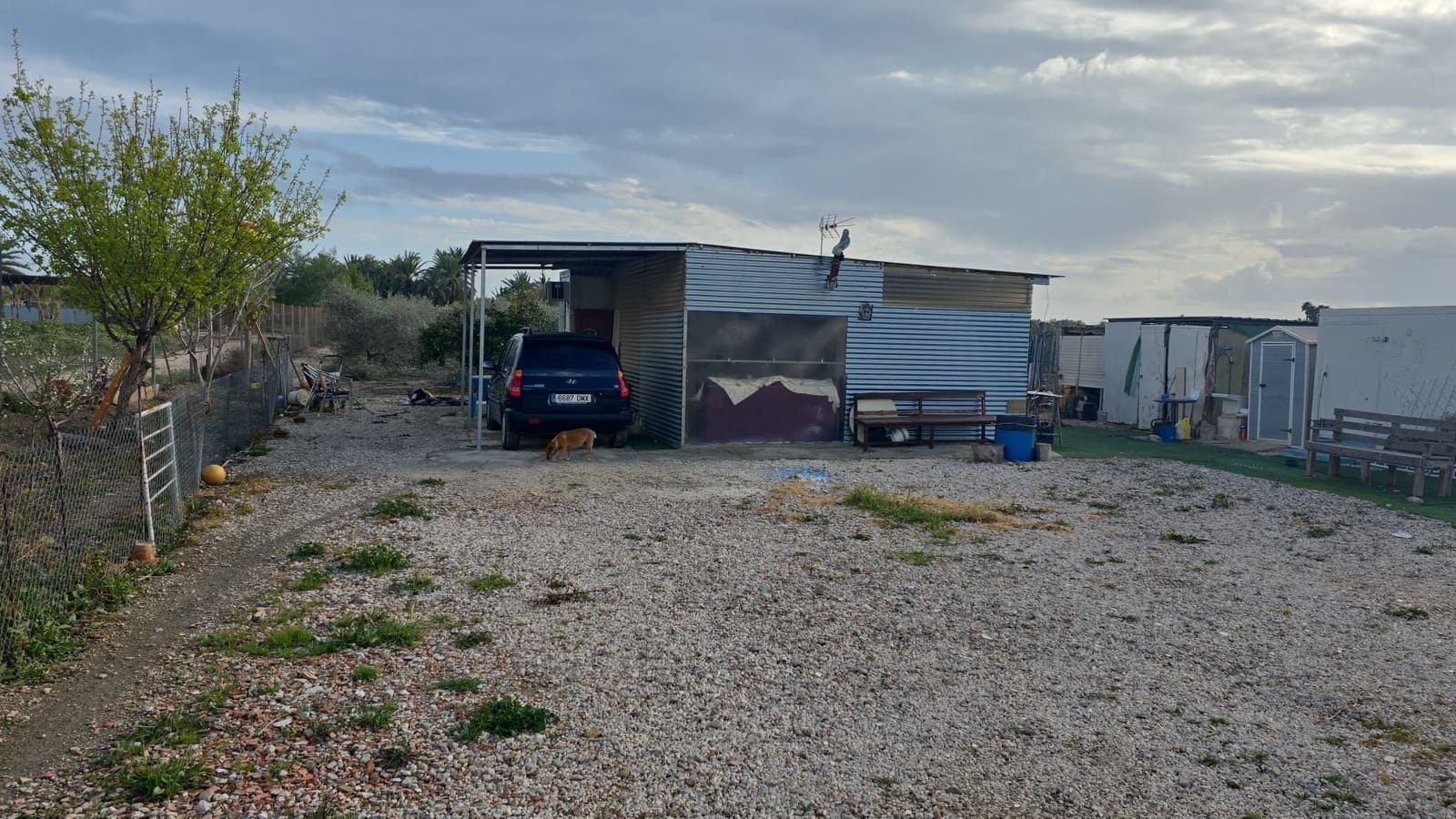 Finca/Country House for sale in Elche / Elx - € 65,000 (Ref: 9694856)