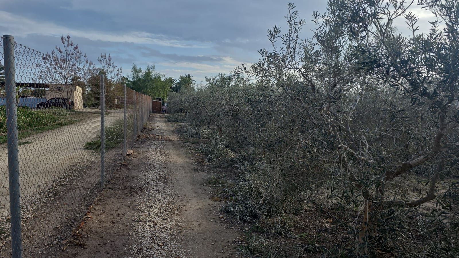 Finca/Country House for sale in Elche / Elx - € 65,000 (Ref: 9694856)