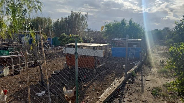 Finca/Country House for sale in Elche / Elx - € 65,000 (Ref: 9694856)