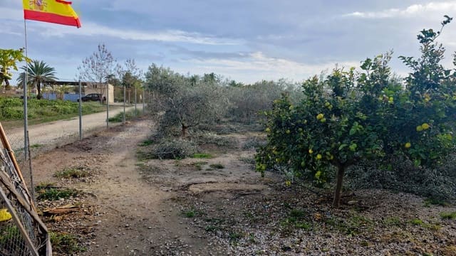 Finca/Country House for sale in Elche / Elx - € 65,000 (Ref: 9694856)
