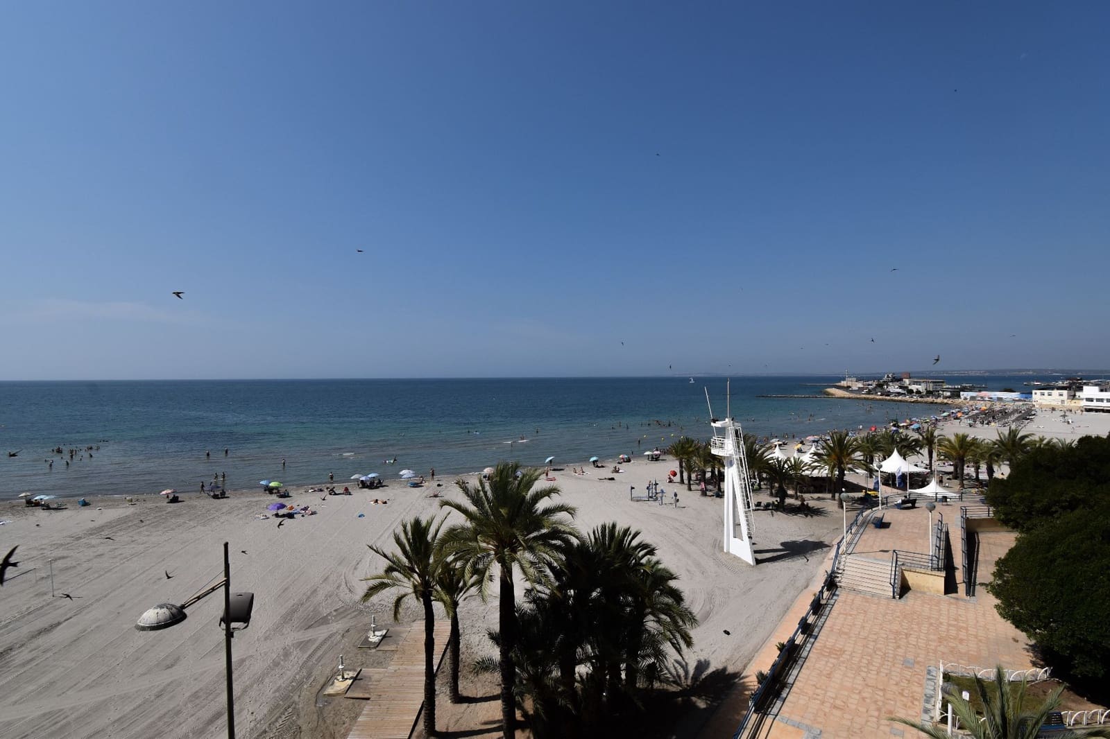 3 sovrum Lägenhet att hyra i Santa Pola - 2 000 € (Ref: 9714574)