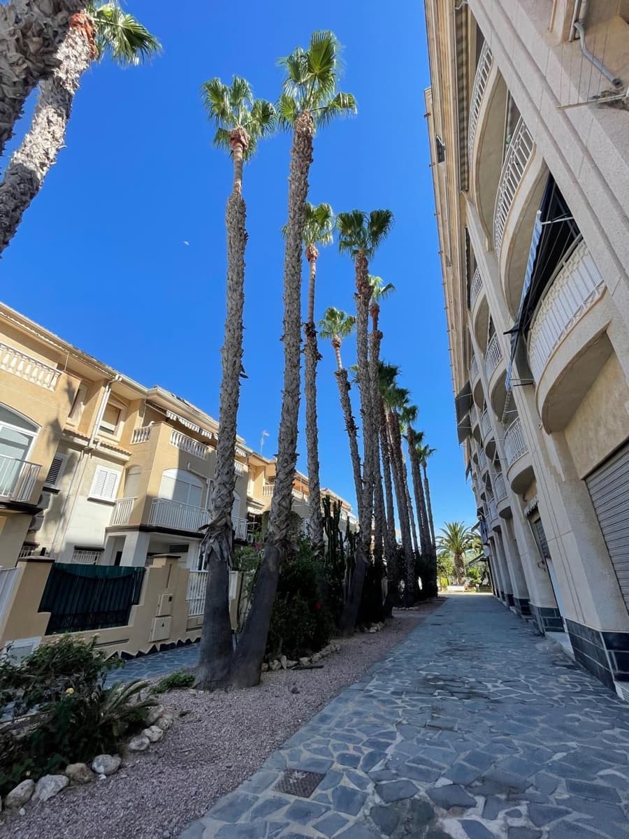 1 bedroom Bungalow for rent in Santa Pola - € 800 (Ref: 9719676)