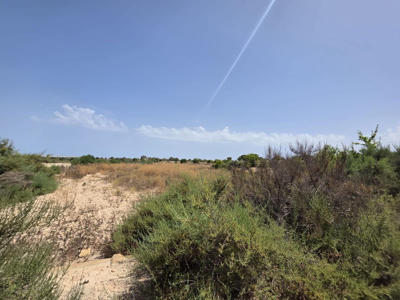 Quinta/Casa Rural para venda em Elche / Elx - 135 000 € (Ref: 9912632)
