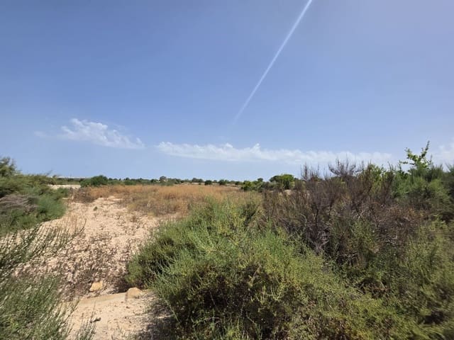 Quinta/Casa Rural para venda em Elche / Elx - 135 000 € (Ref: 9912632)