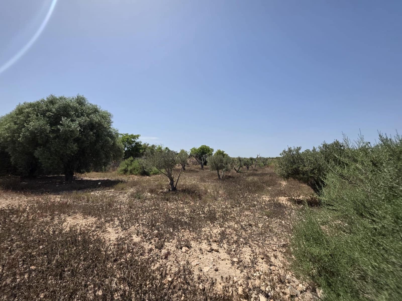 Quinta/Casa Rural para venda em Elche / Elx - 135 000 € (Ref: 9912632)