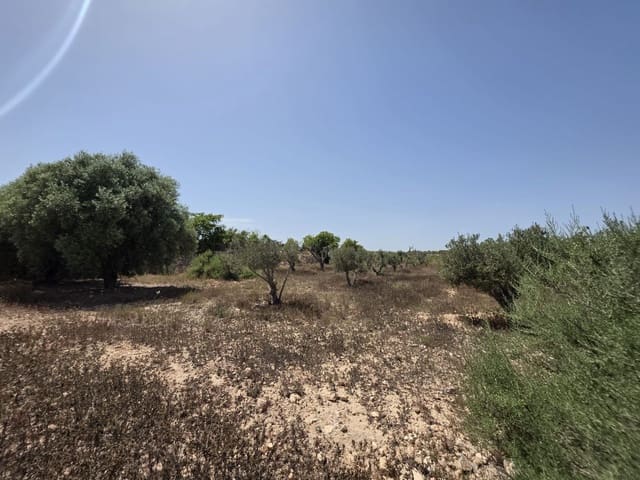 Quinta/Casa Rural para venda em Elche / Elx - 135 000 € (Ref: 9912632)